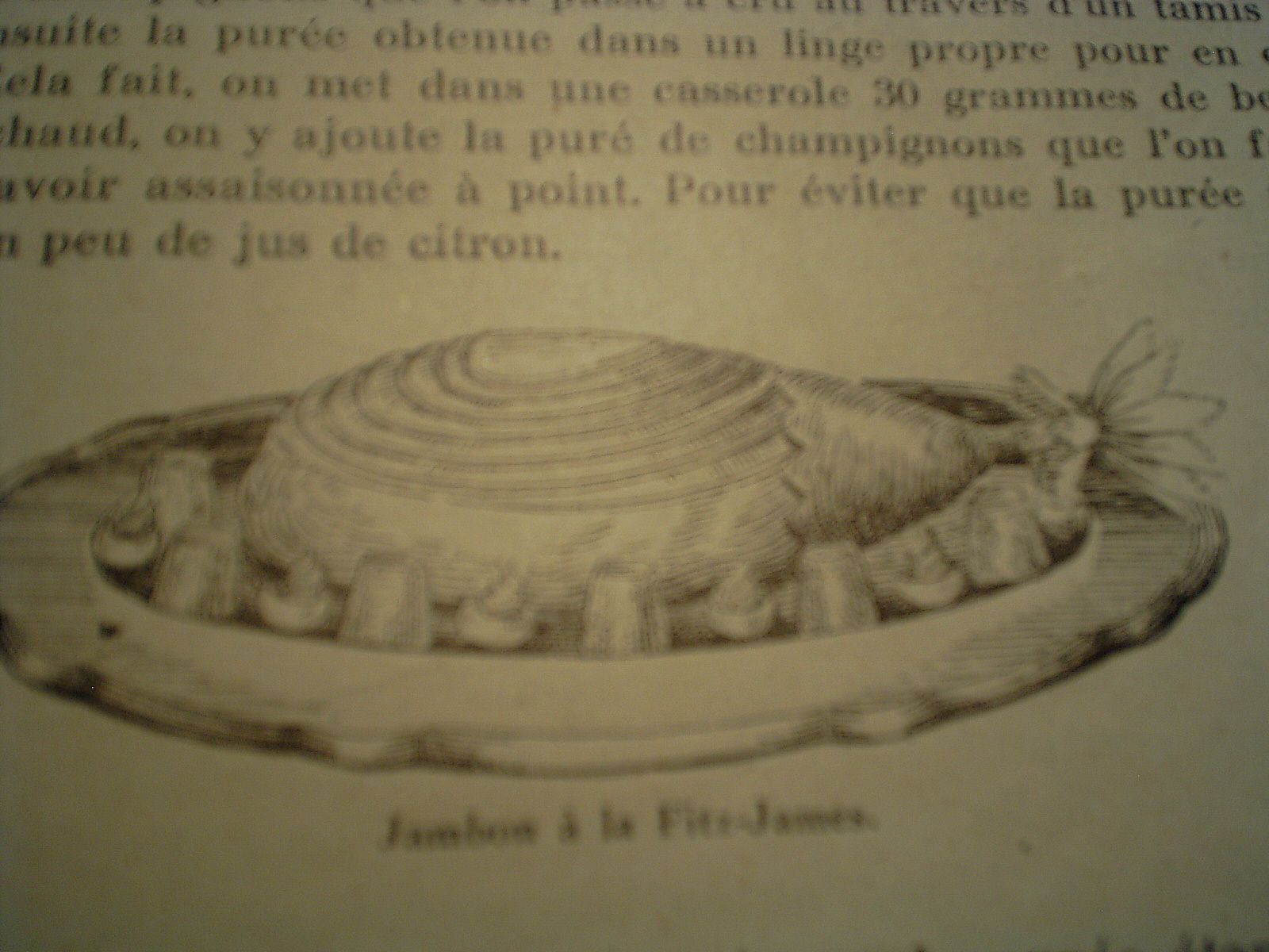 S3010048.JPG