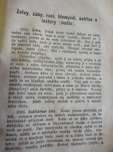 Kuchařka Hasgirgová 001